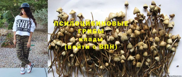 винт Армянск