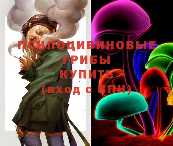винт Армянск
