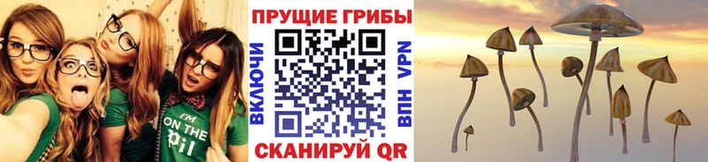 mega зеркало  хочу наркоту  Певек  Псилоцибиновые грибы прущие грибы 