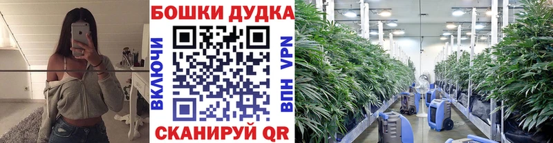 Конопля Bruce Banner  omg вход  Певек  дарнет шоп 